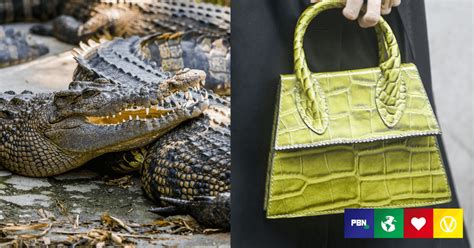 is hermes cruelty free|hermes animal skin ethics.